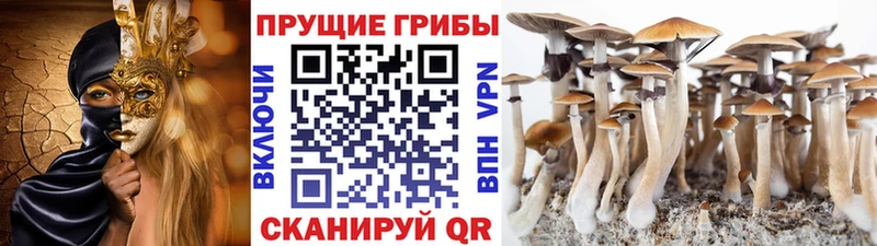 Псилоцибиновые грибы MAGIC MUSHROOMS  Ржев 